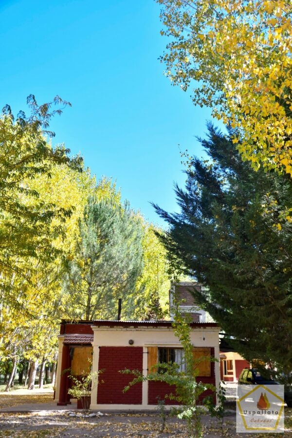 Cabaña Intermedia Uspallata (60mts2) - Imagen 11